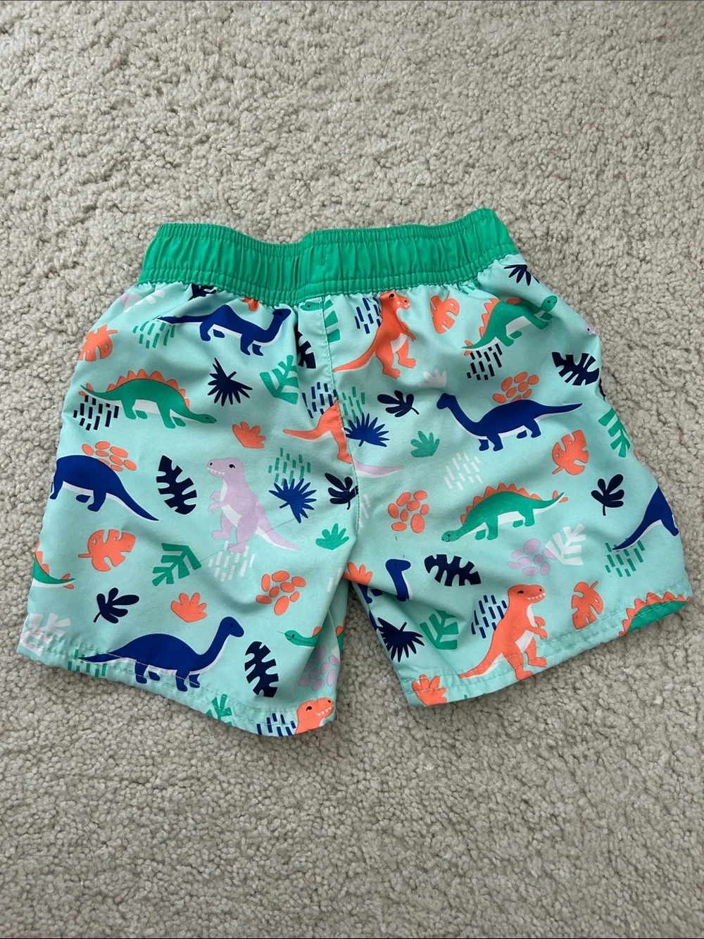 Cat & Jack Green and White Lined Swim Trunks